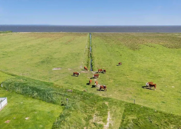 3397-hvide-sande-anker-eskildsens-vej-12 Сasa de vacaciones Hvide Sande